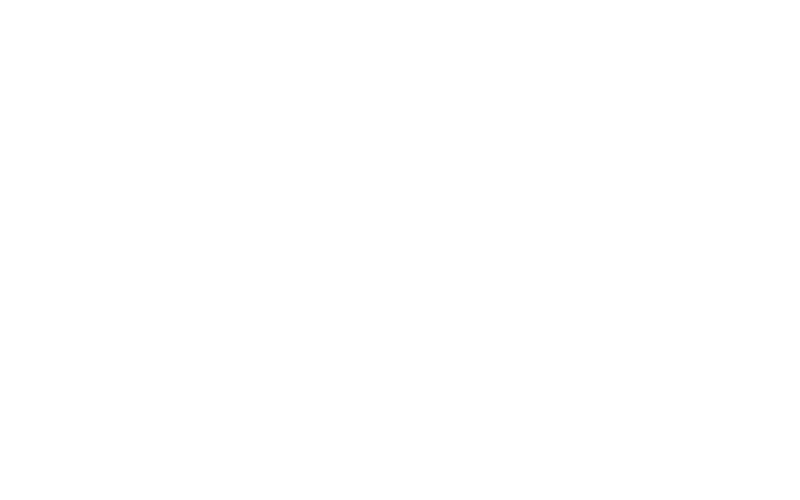 Evolution is a well-known and established software developer at Odds96.
